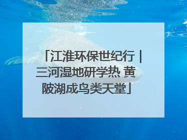 江淮环保世纪行｜三河湿地研学热 黄陂湖成鸟类天堂